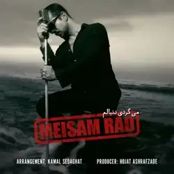 دانلود آهنگ میثم راد میگردی دنبالم میثم راد میگردی دنبالم