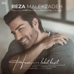 رضا ملک زاده حواسم بهت هست