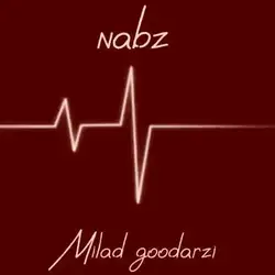 میلاد گودرزی نبض