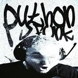 دانلود آهنگ Sayfalse Python Funk Sayfalse Python Funk
