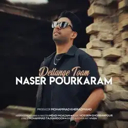ناصر پورکرم دلتنگ توام
