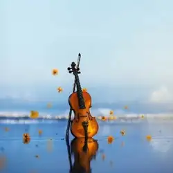 اوج میگرفتم به سمت تو