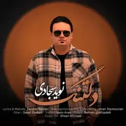 نوید سجادی دلتنگ