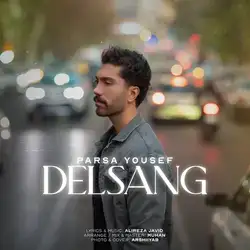 پارسا یوسف دلسنگ