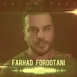 فرهاد فروتنی دلم رفت