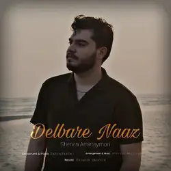 شروین امیرتیموری دلبر ناز