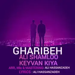 دانلود آهنگ علی شاملو و کیوان کیا غریبه علی شاملو و کیوان کیا غریبه