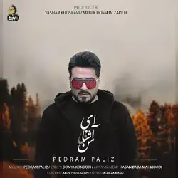 دانلود آهنگ پدرام پالیز ای آشنای من پدرام پالیز ای آشنای من