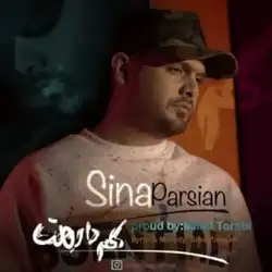 دانلود آهنگ سینا پارسیان کم دارمت سینا پارسیان کم دارمت