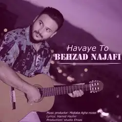 بهزاد نجفی هوای تو