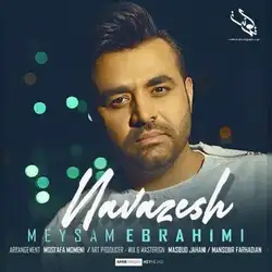 میثم ابراهیمی نوازش