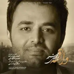 میثم ابراهیمی واسه تو