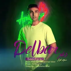 سعید فراز دلبر