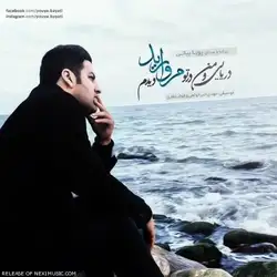 پویا بیاتی مروارید