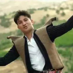 علی احمدیانی قفلی