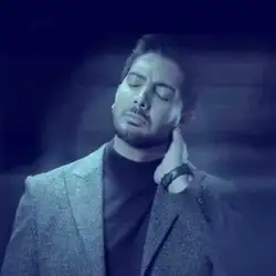 فرزاد فرزین سقوط