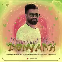 محمد واعظ دنیامی