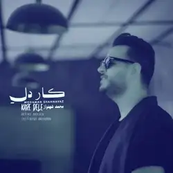 محمد شهنواز کار دل