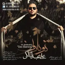 علی عبدالمالکی تو بارون