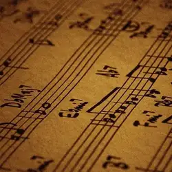 مجید احمدی نزن از خنه بیرون نشو سمت بلیرون