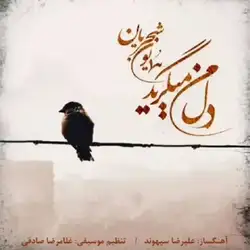 دانلود آهنگ همایون شجریان دل من میگرید همایون شجریان دل من میگرید