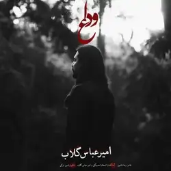 امیرعباس گلاب وداع