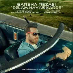 دانلود آهنگ گرشا رضایی دلم هوس کرده گرشا رضایی دلم هوس کرده