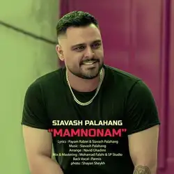 سیاوش پالاهنگ ممنونم