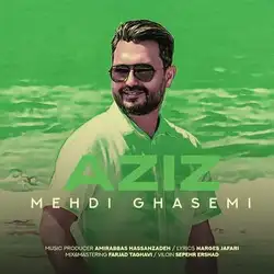 مهدی قاسمی عزیز