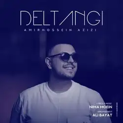 امیرحسین عزیزی دلتنگی