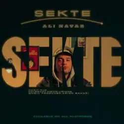 علی نواب سکته