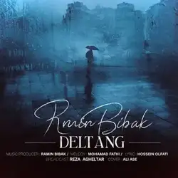 رامین بیباک دلتنگ
