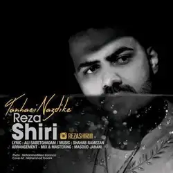 رضا شیری تنهایی نزدیکه