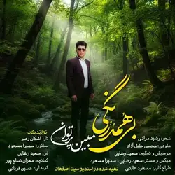 مبین پرتوان بی همدرنگی