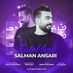 سلمان انصاری انتخاب