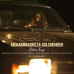 محمد رضا گلچهره دلم تنگه