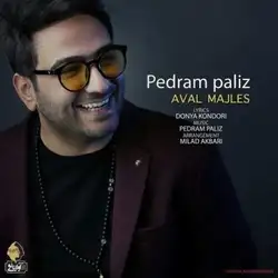 پدرام پالیز اول مجلس