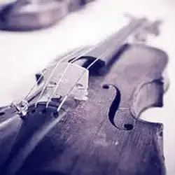 مسلک دوپامین