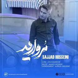 سجاد حسینی مروارید