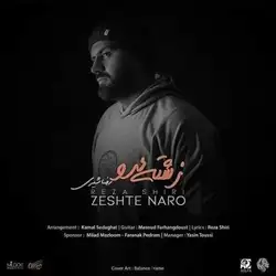 رضا شیری زشته نرو