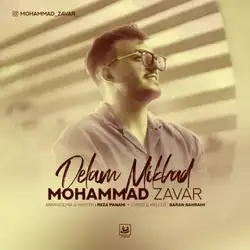 محمد زوار دلم میخواد